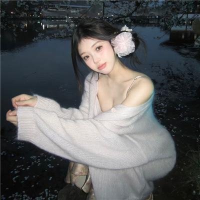 哈吉布基的森林冒险